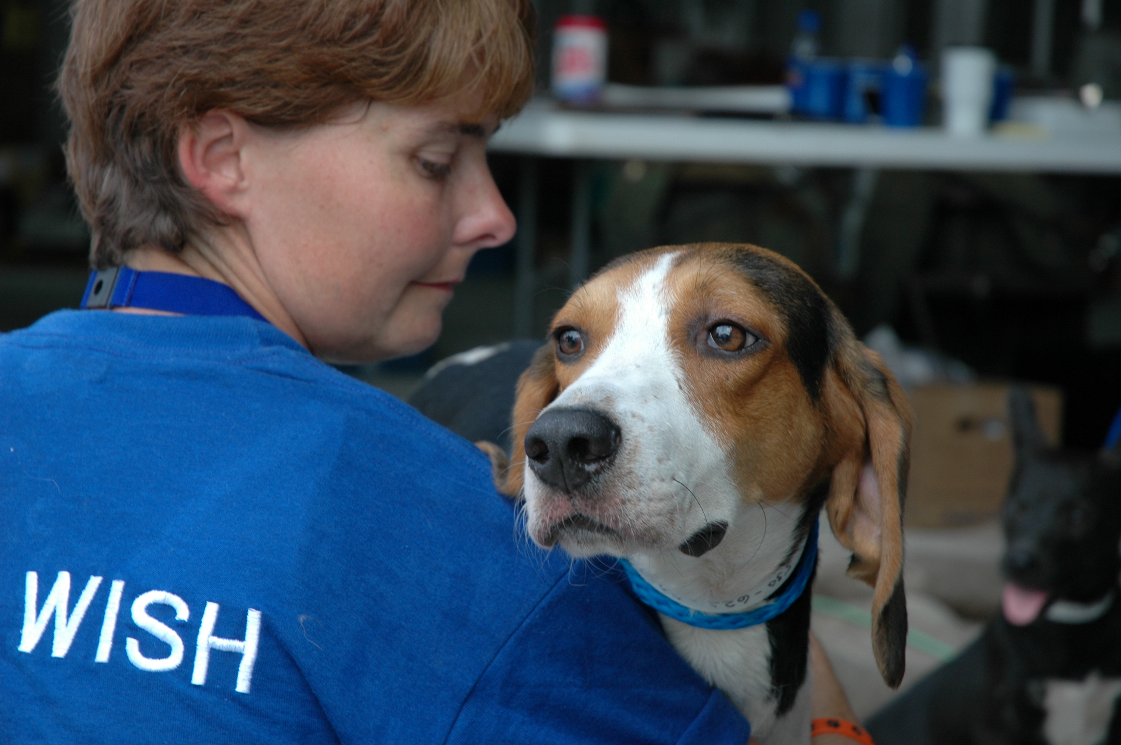 Dog Rescued From Slidell, LA