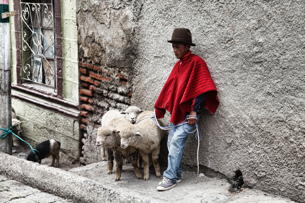 indigenous-shepherd