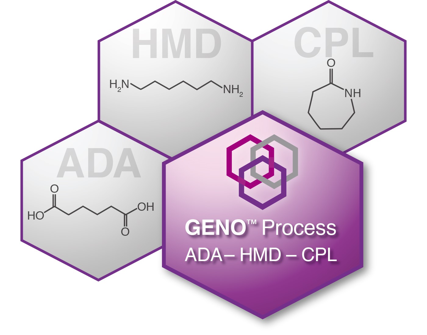 Genomatica's nylon intermediates program