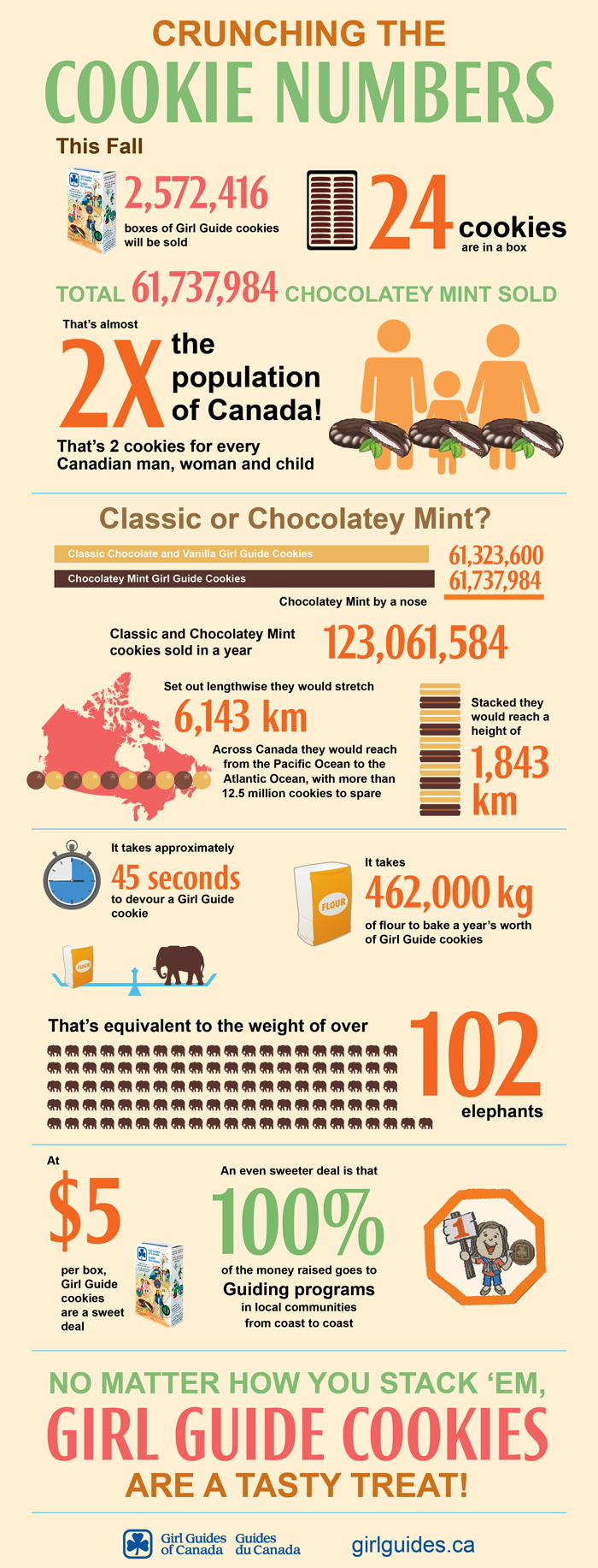 Cookie-Info-Graphic-Mint-grn-lr