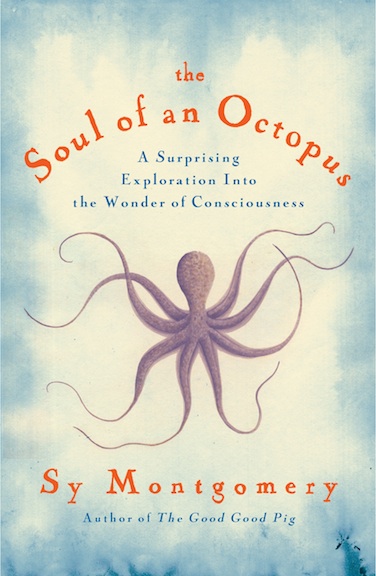 octo cover-small