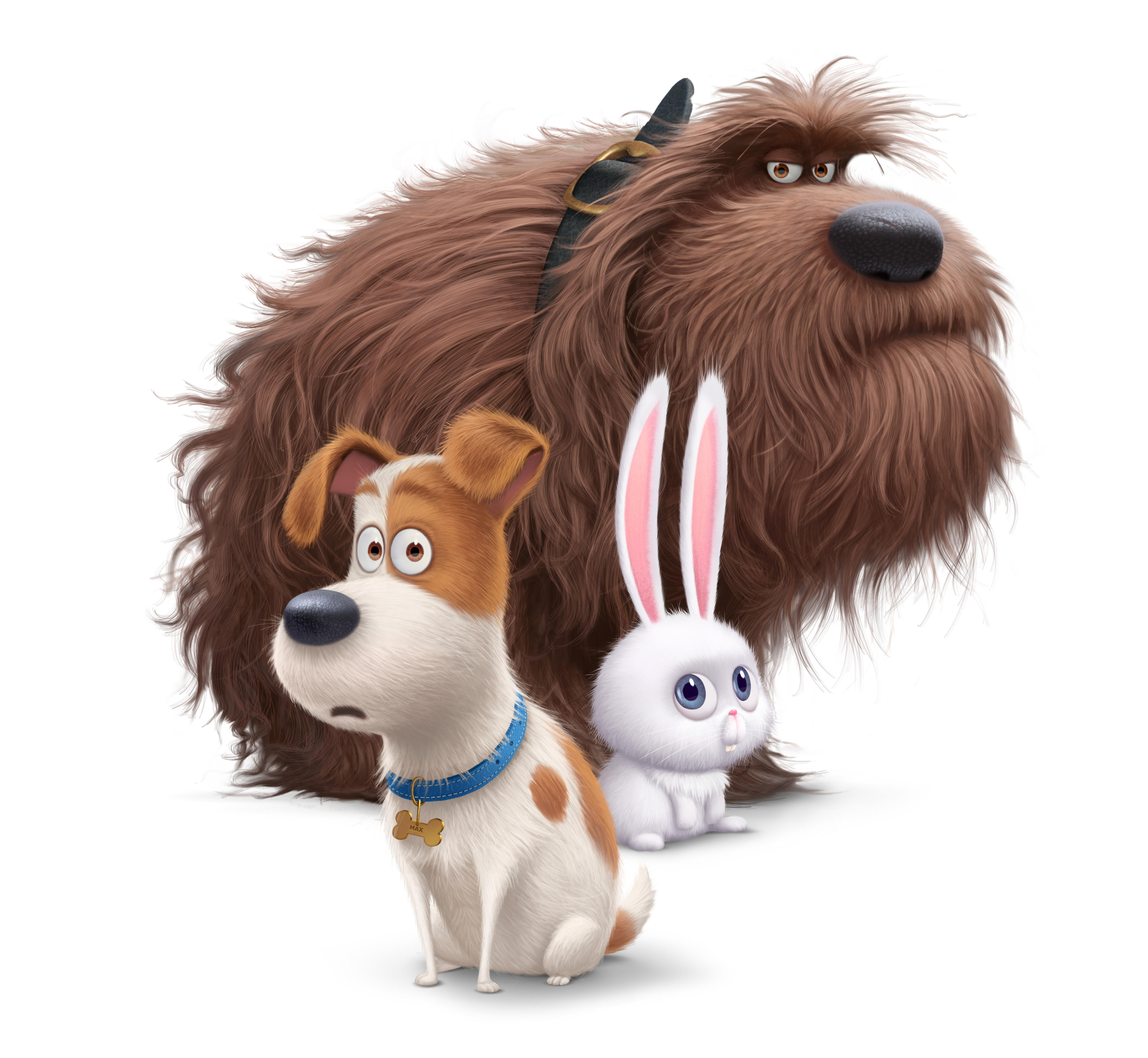 Secret Life of Pets