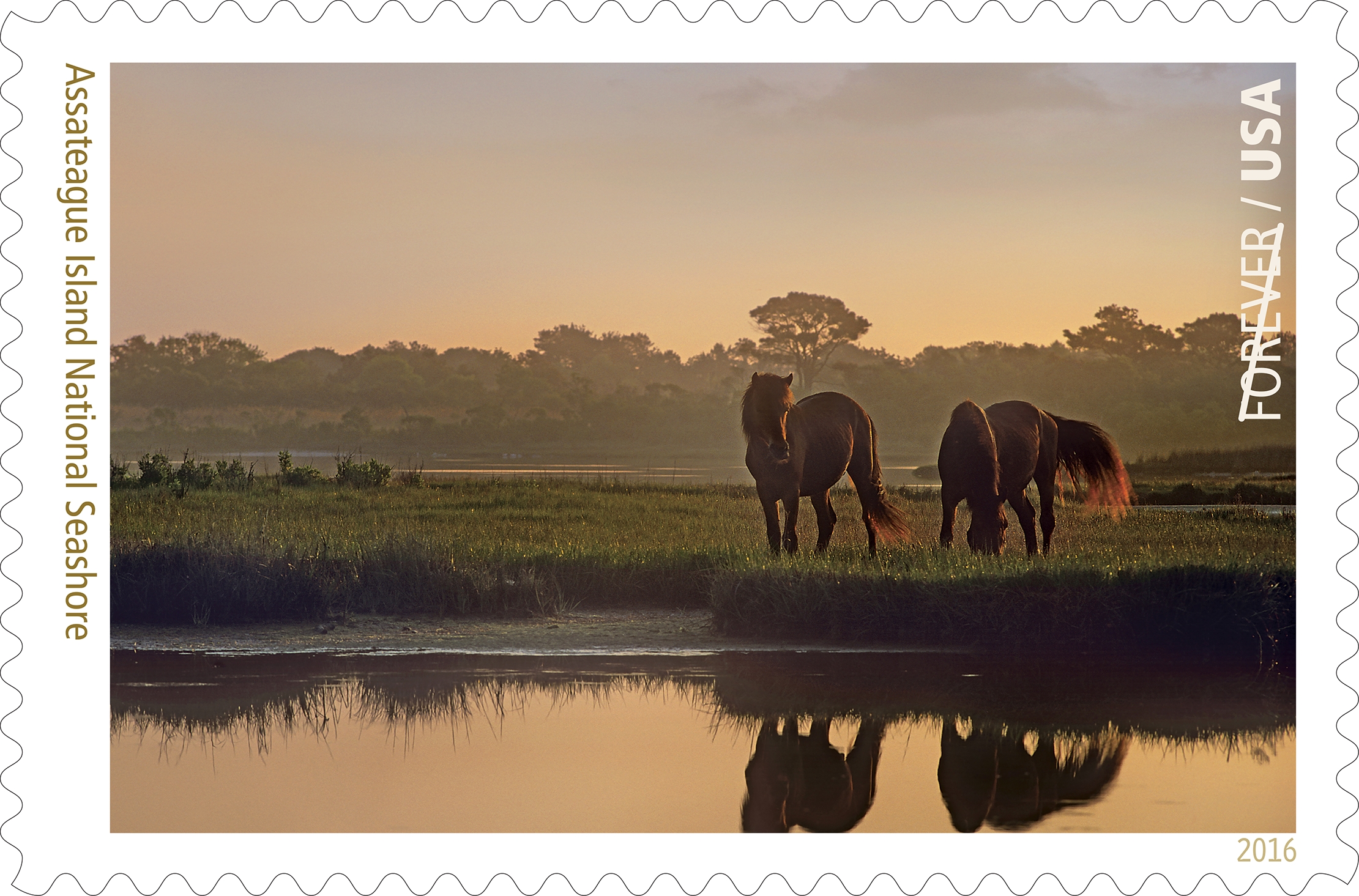 Assateague Island National Seashore