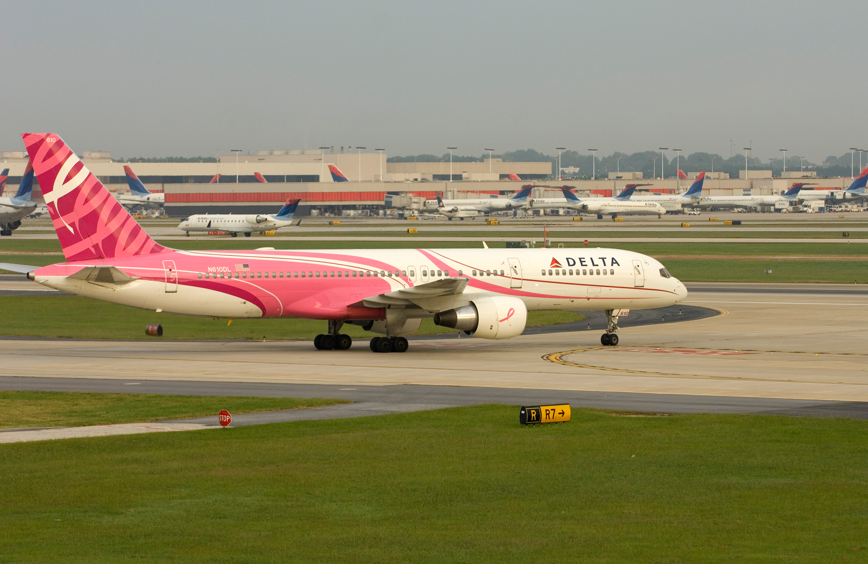 Delta Pink Plane