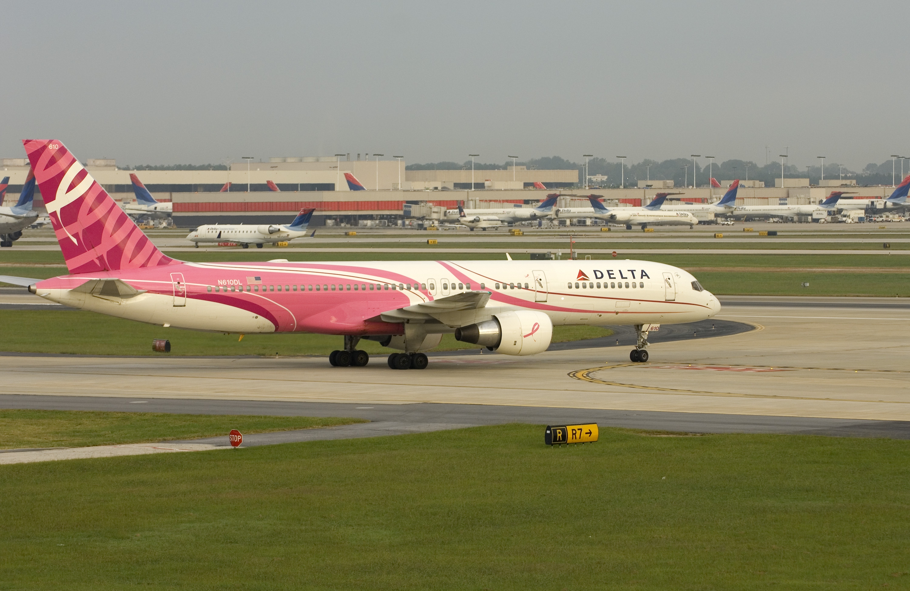 Delta's Pink Plane