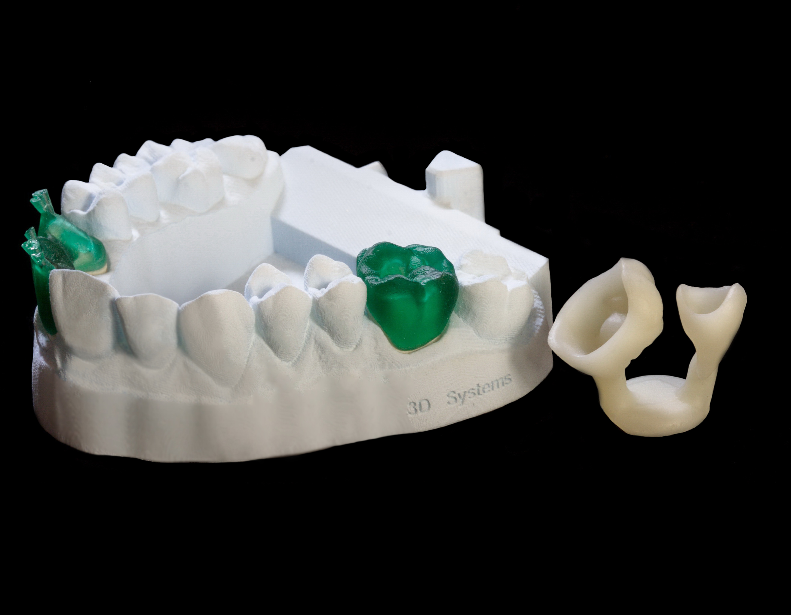 dental model