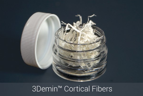 3Demin Cortical Fibers