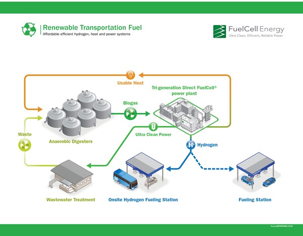 Distributed renewable hydrogen for transportation