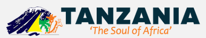 Tanzania Soul of Africa website logo