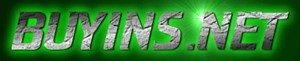 BUYINS.NET Logo