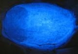 Photo of concentrate fluorescing under UV light highlighting the presence of the tungsten mineral scheelite.