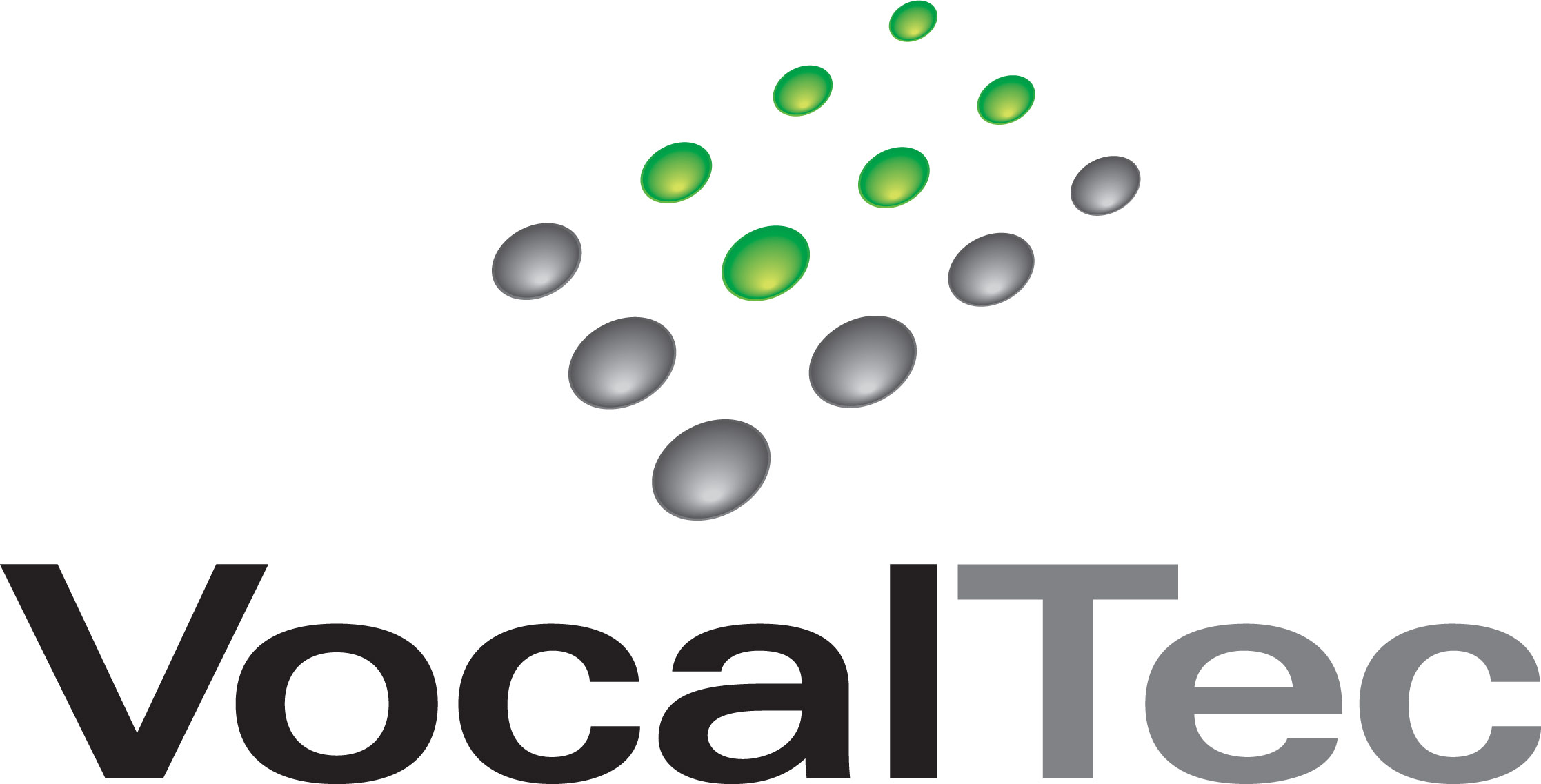 VocalTec Logo