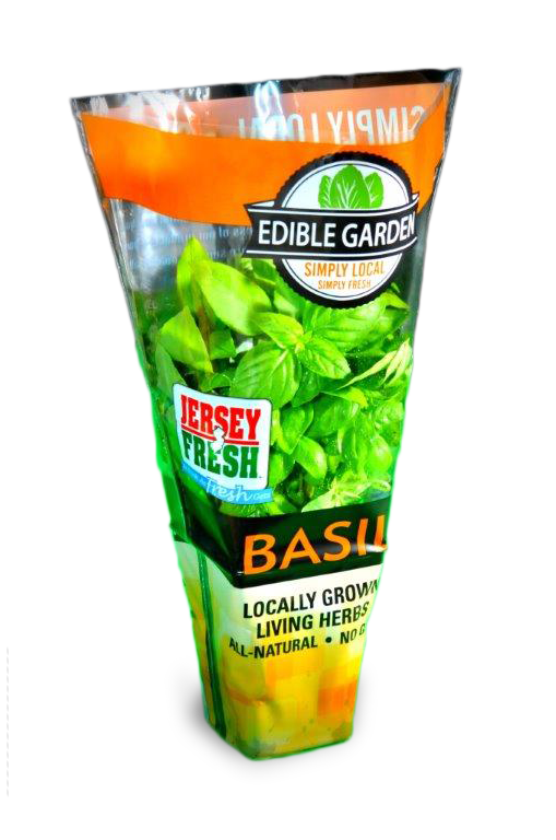Living Basil