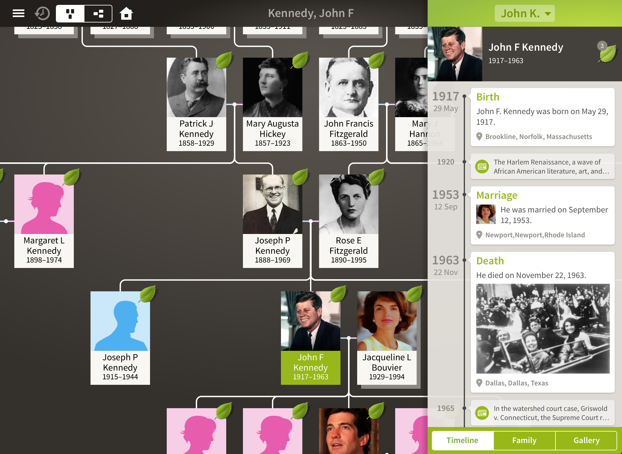 Ancestry iPad Timeline