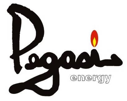 Pegasi Energy Resources Corporation Logo