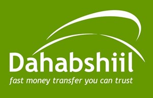 Dahabshiil Transfer Services Ltd logo