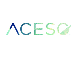 Aceso Logo